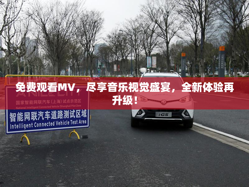 免费观看MV，尽享音乐视觉盛宴，全新体验再升级！