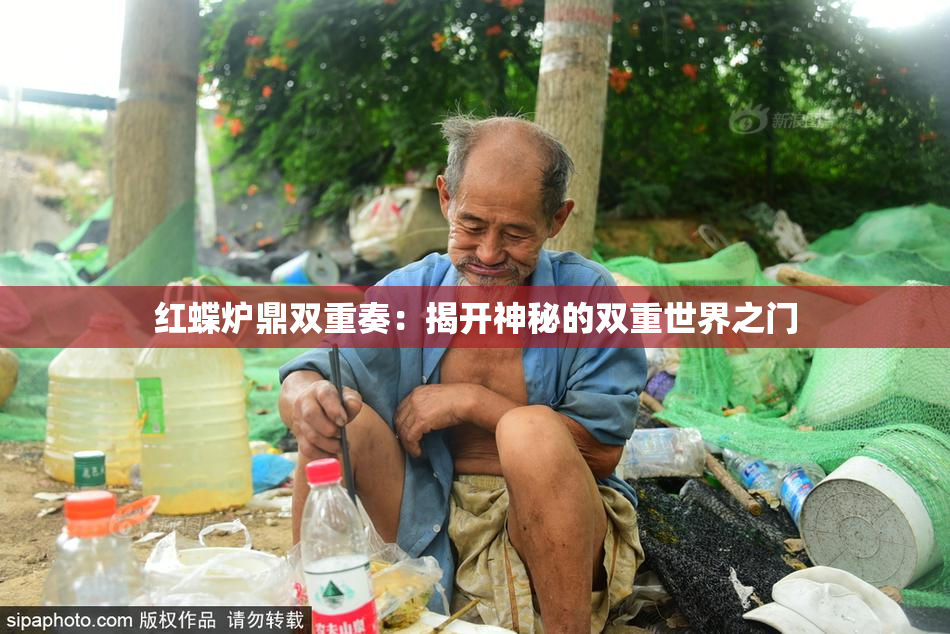 红蝶炉鼎双重奏：揭开神秘的双重世界之门