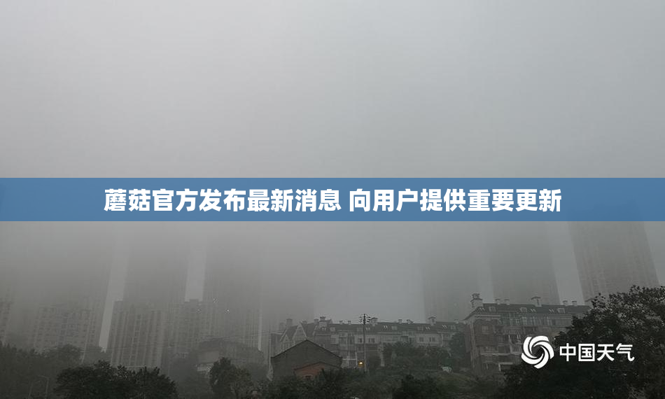 蘑菇官方发布最新消息 向用户提供重要更新