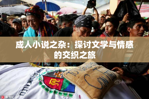 成人小说之杂：探讨文学与情感的交织之旅