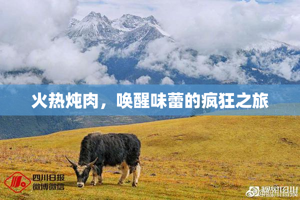 火热炖肉，唤醒味蕾的疯狂之旅