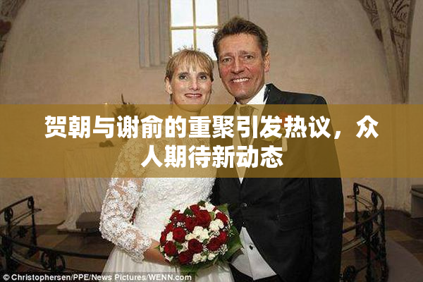 贺朝与谢俞的重聚引发热议，众人期待新动态
