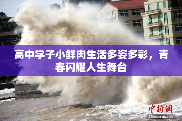 高中学子小鲜肉生活多姿多彩，青春闪耀人生舞台