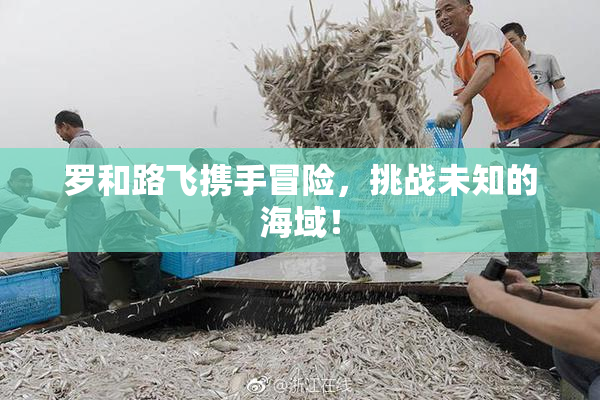 罗和路飞携手冒险，挑战未知的海域！