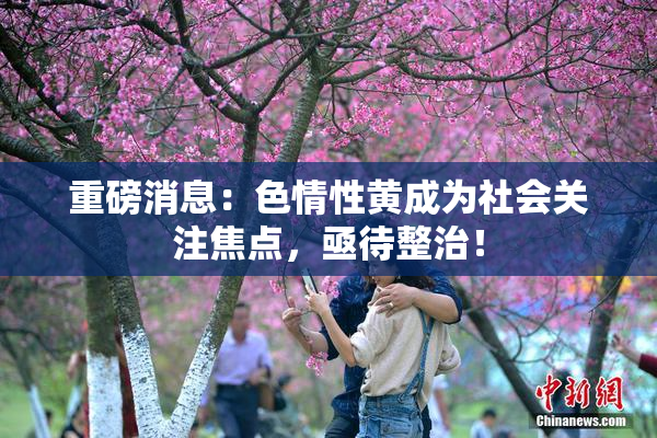 重磅消息：色情性黄成为社会关注焦点，亟待整治！