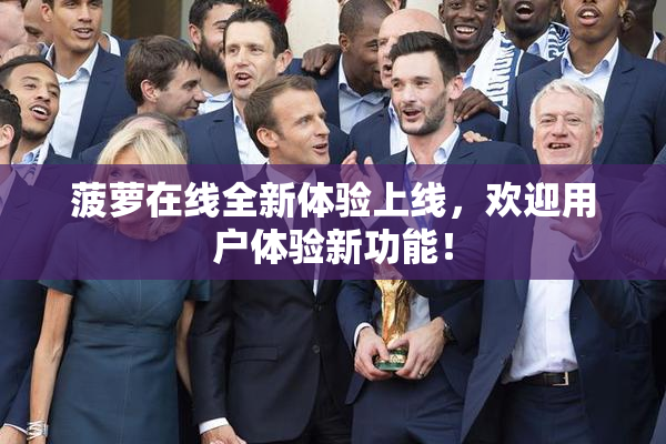 菠萝在线全新体验上线，欢迎用户体验新功能！