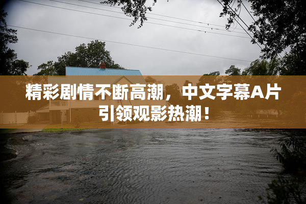精彩剧情不断高潮，中文字幕A片引领观影热潮！
