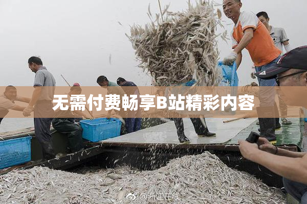 无需付费畅享B站精彩内容