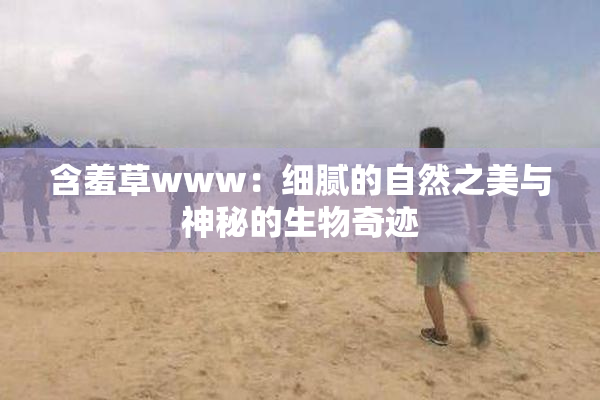 含羞草www：细腻的自然之美与神秘的生物奇迹