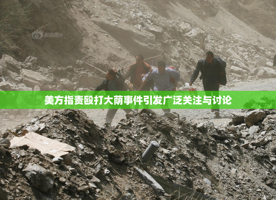 美方指责殴打大荫事件引发广泛关注与讨论