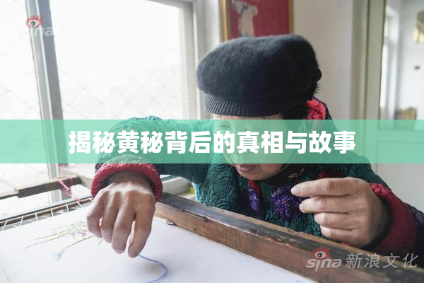 揭秘黄秘背后的真相与故事