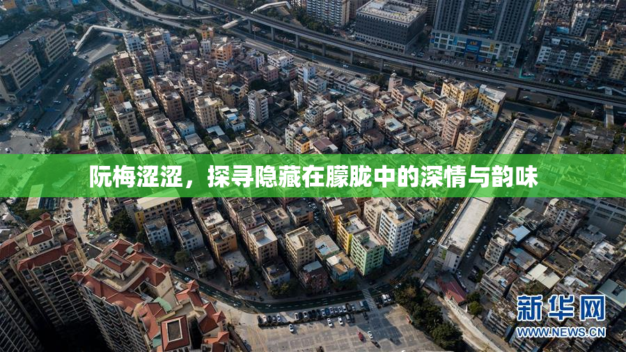 阮梅涩涩，探寻隐藏在朦胧中的深情与韵味