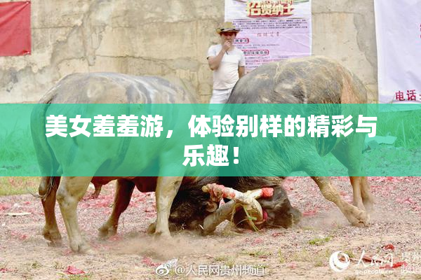 美女羞羞游，体验别样的精彩与乐趣！