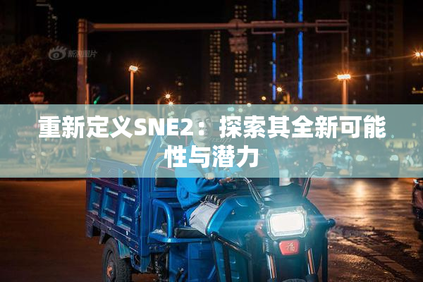 重新定义SNE2：探索其全新可能性与潜力