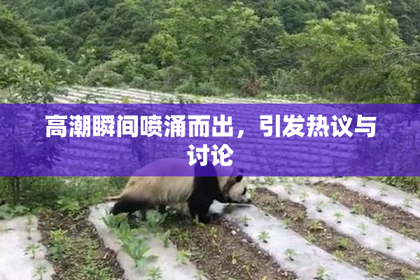 高潮瞬间喷涌而出，引发热议与讨论