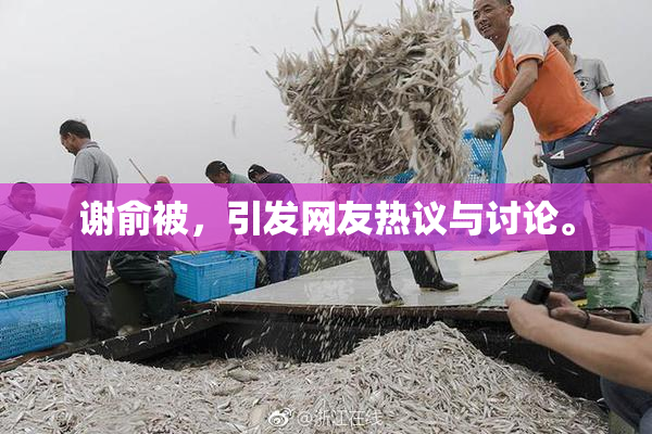谢俞被，引发网友热议与讨论。