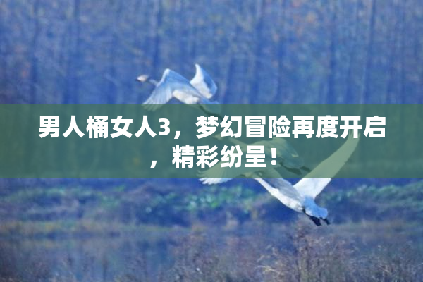 男人桶女人3，梦幻冒险再度开启，精彩纷呈！