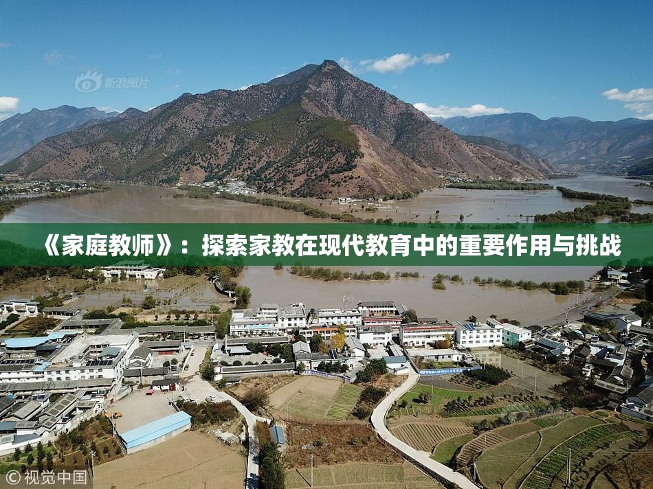 《家庭教师》：探索家教在现代教育中的重要作用与挑战
