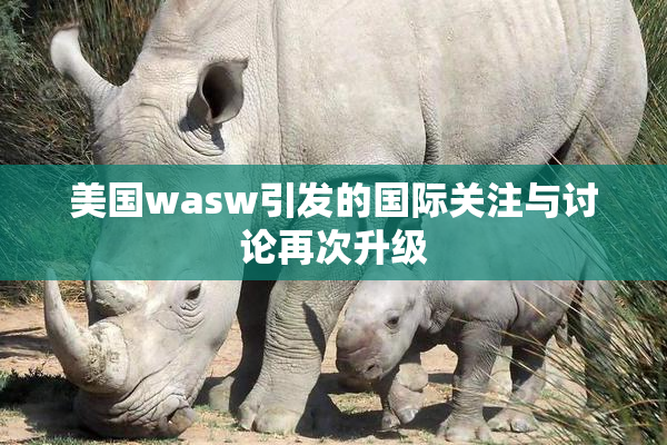 美国wasw引发的国际关注与讨论再次升级