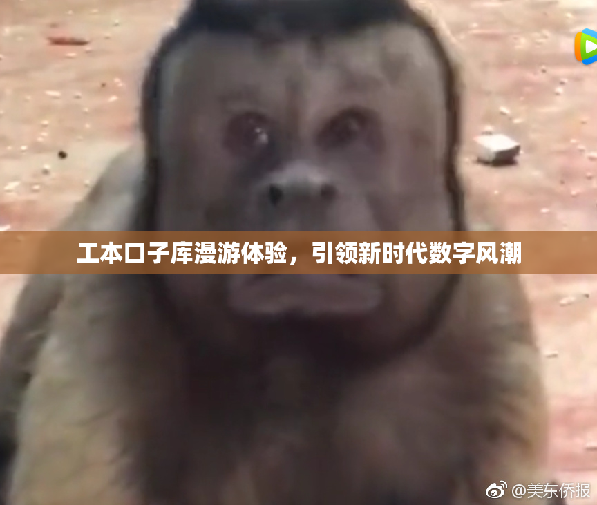 工本口子库漫游体验，引领新时代数字风潮