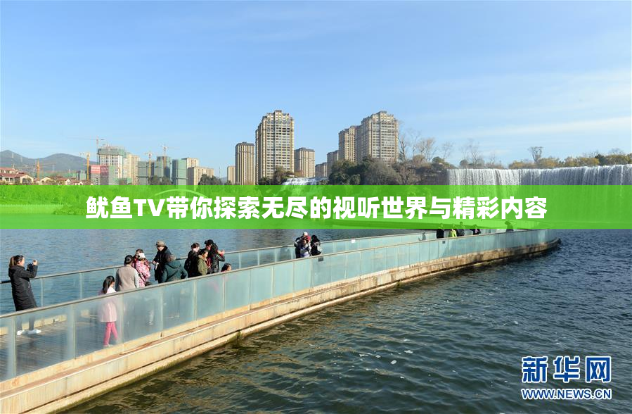 鱿鱼TV带你探索无尽的视听世界与精彩内容
