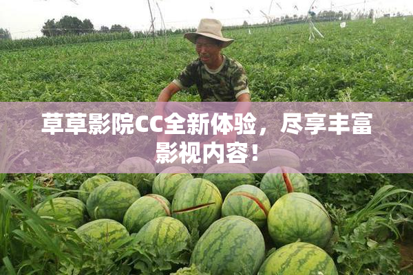 草草影院CC全新体验，尽享丰富影视内容！