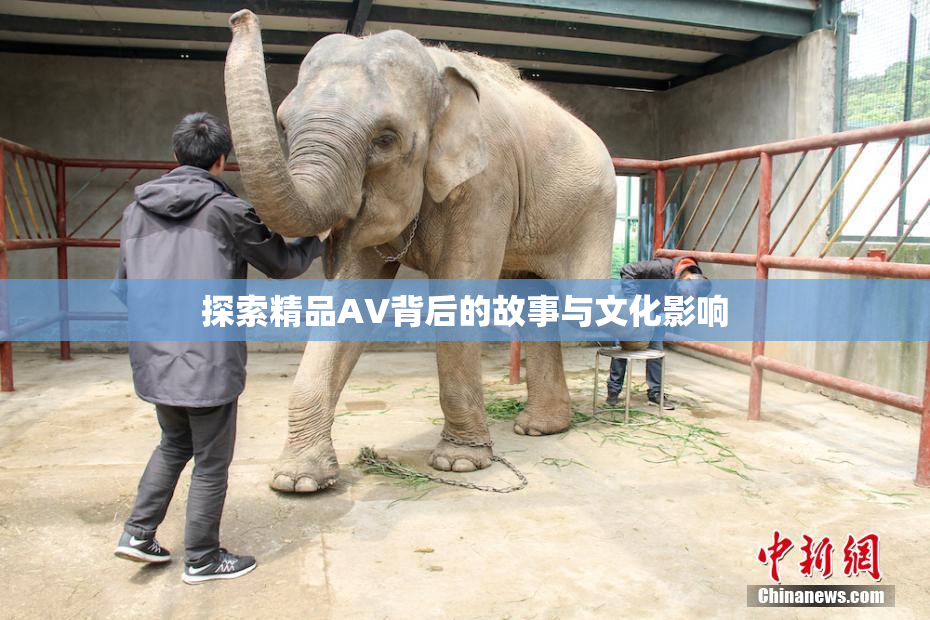 探索精品AV背后的故事与文化影响