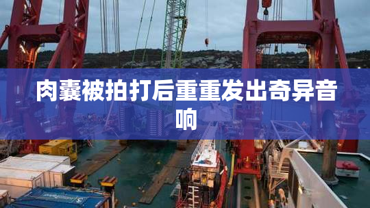 肉囊被拍打后重重发出奇异音响