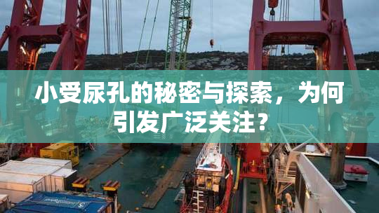 小受尿孔的秘密与探索，为何引发广泛关注？