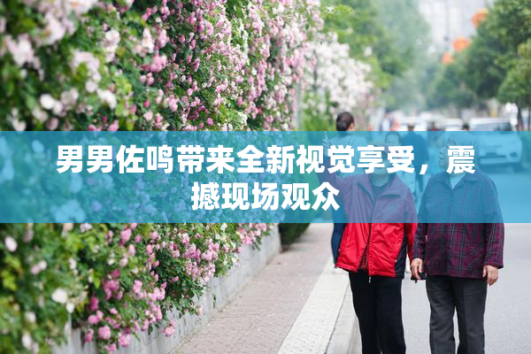 男男佐鸣带来全新视觉享受，震撼现场观众
