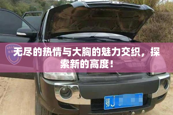 无尽的热情与大胸的魅力交织，探索新的高度！