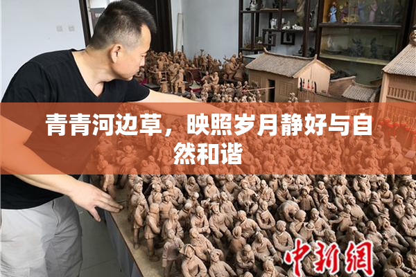 青青河边草，映照岁月静好与自然和谐