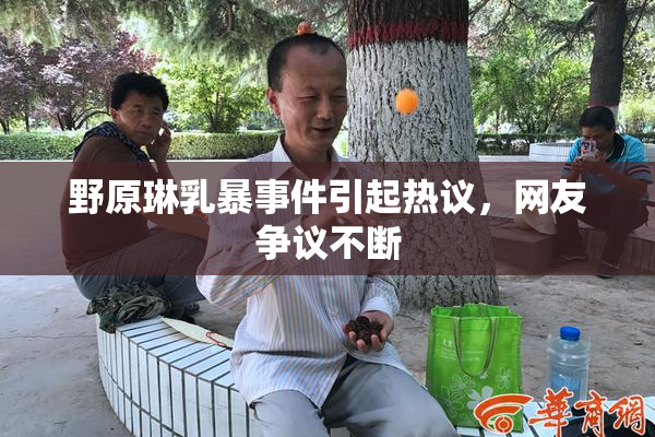 野原琳乳暴事件引起热议，网友争议不断