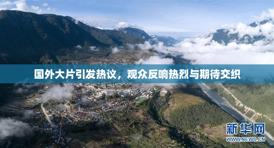 国外大片引发热议，观众反响热烈与期待交织
