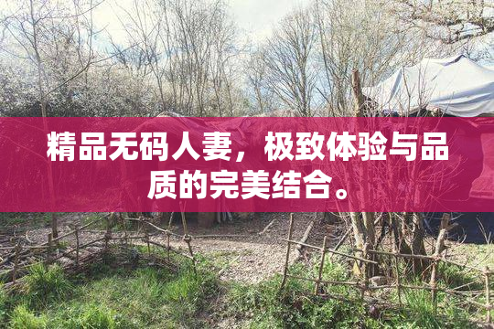 精品无码人妻，极致体验与品质的完美结合。