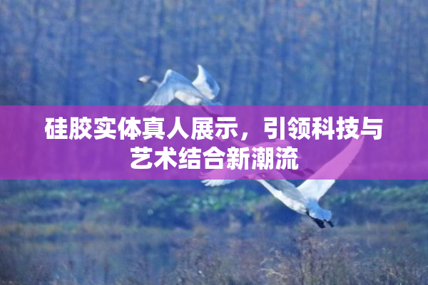 硅胶实体真人展示，引领科技与艺术结合新潮流