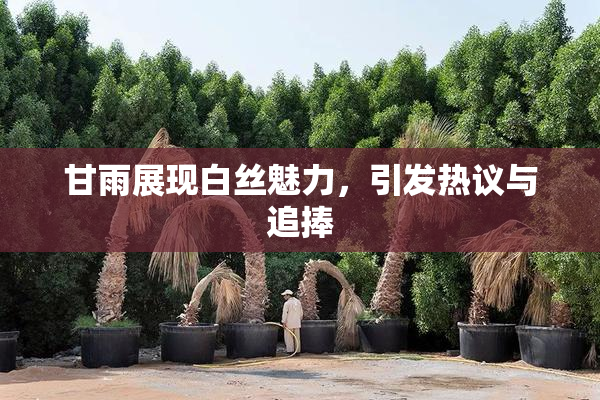 甘雨展现白丝魅力，引发热议与追捧