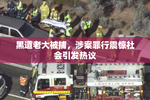 黑道老大被捕，涉案罪行震惊社会引发热议