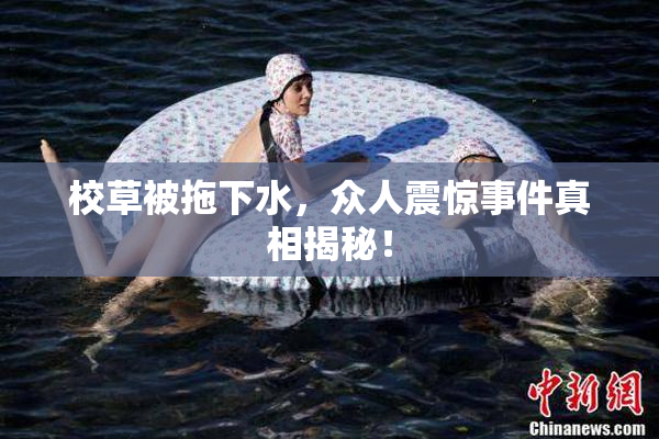 校草被拖下水，众人震惊事件真相揭秘！