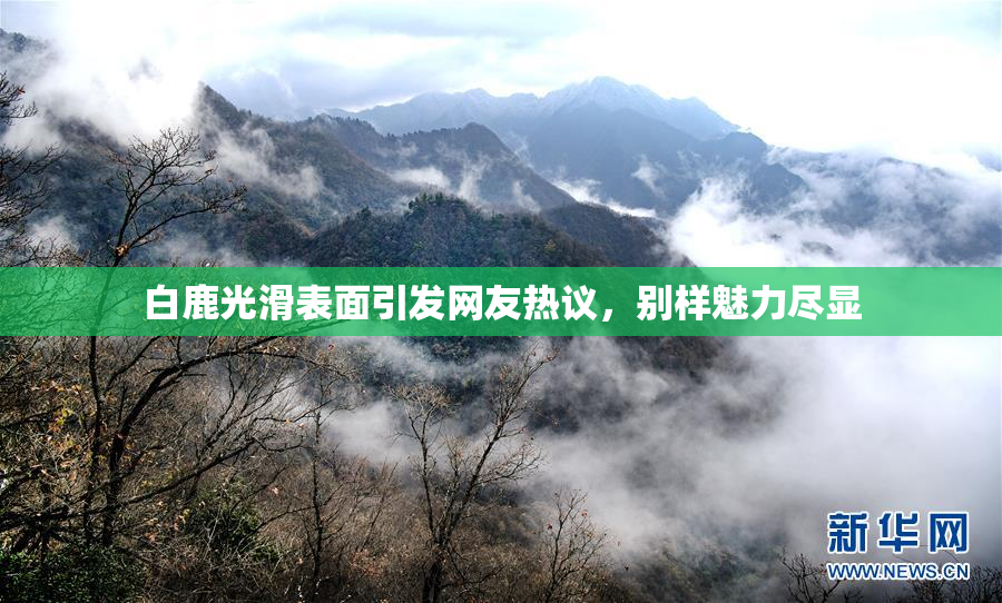 白鹿光滑表面引发网友热议，别样魅力尽显