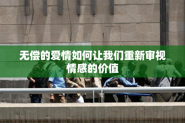 无偿的爱情如何让我们重新审视情感的价值