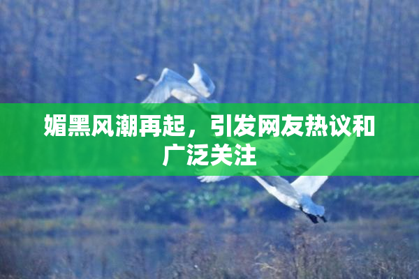 媚黑风潮再起，引发网友热议和广泛关注
