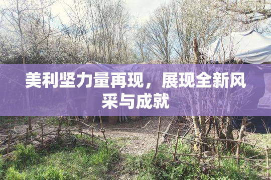 美利坚力量再现，展现全新风采与成就