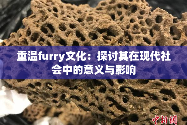 重温furry文化：探讨其在现代社会中的意义与影响