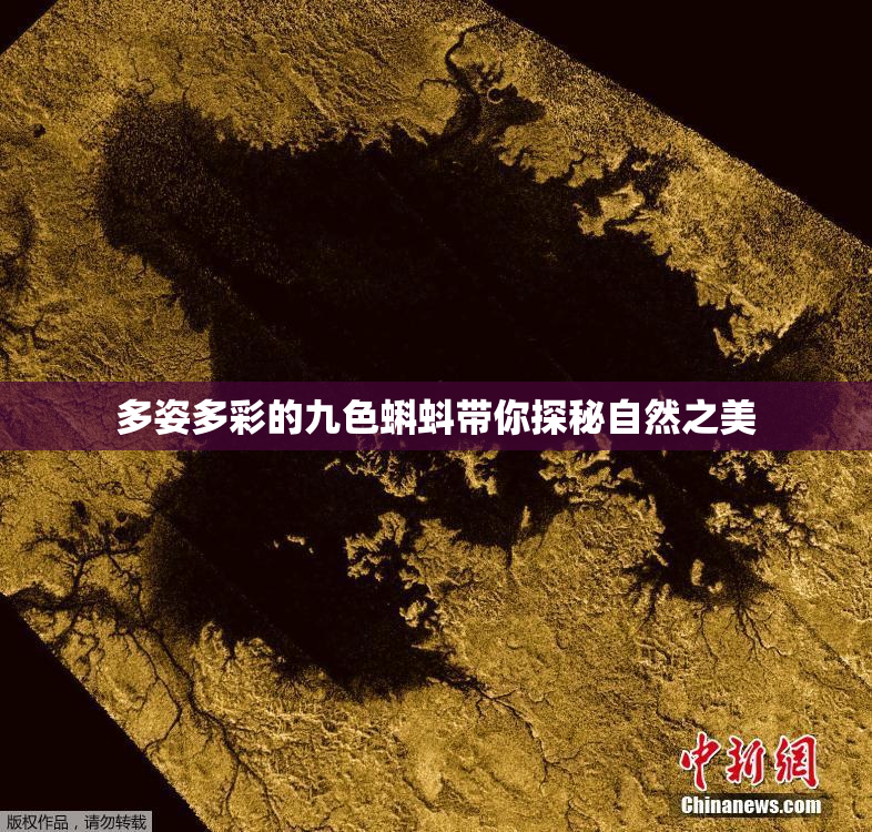 多姿多彩的九色蝌蚪带你探秘自然之美