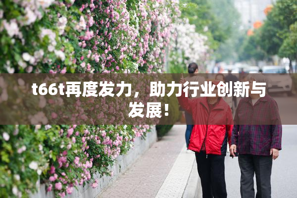 t66t再度发力，助力行业创新与发展！