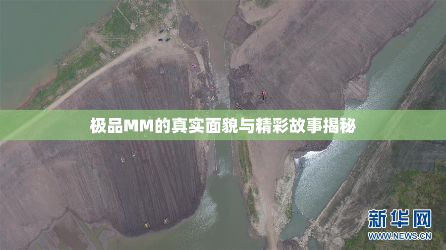 极品MM的真实面貌与精彩故事揭秘