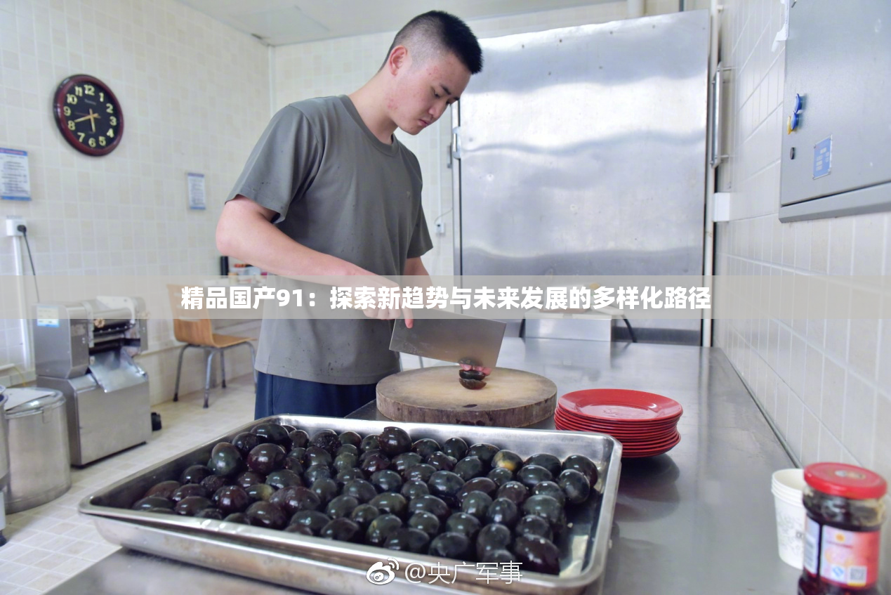 精品国产91：探索新趋势与未来发展的多样化路径