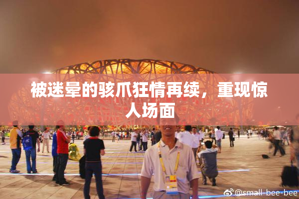被迷晕的骇爪狂情再续，重现惊人场面