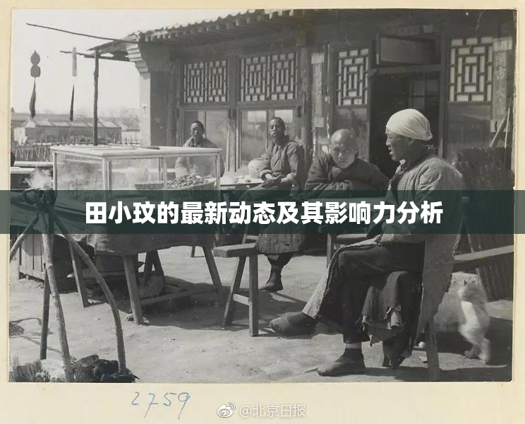 田小玟的最新动态及其影响力分析